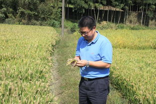 農業科技工作者的楷模 記農產品質量標準研究所趙學平研究員的科研風采