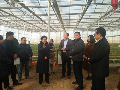 副市長常英敏赴淇縣調(diào)研 推動(dòng)農(nóng)產(chǎn)品質(zhì)量安全與冬季農(nóng)業(yè)生產(chǎn)