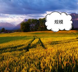 科技賦能農業，智慧引領電商——為農產品電商領域中的農業技術研究者點贊