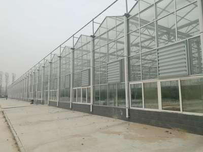 科技賦能，質效并舉 現代高品質農業技術研究進展與展望